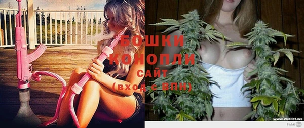 прущие крисы Вязьма
