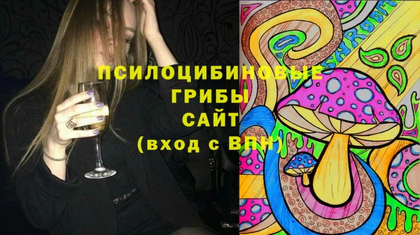гидропоника Горно-Алтайск