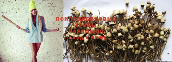 spice Вяземский