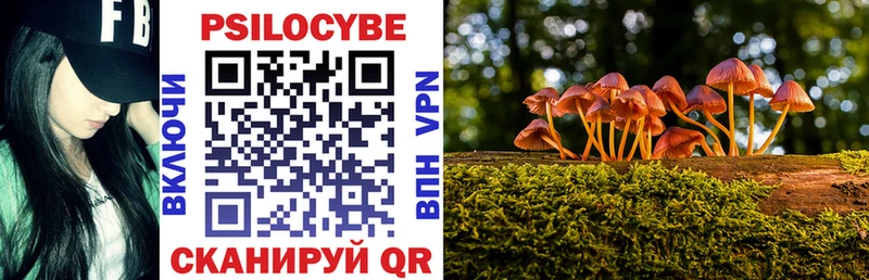 мега как зайти  Ивдель  Псилоцибиновые грибы Cubensis 